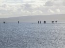 A 2018-02-02 (137) West Kirby.JPG