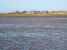 A 2018-02-02 (150) West Kirby.JPG