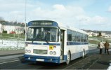 2596 - Bogside.jpg