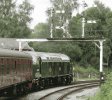 40106.jpg