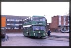 Luton & District 774 - Limbury Meads.jpg