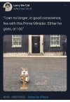 D1F41A77-1822-4E0F-B868-A063AA0661AA.jpeg