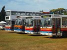 ADB4C50E-942A-4052-946F-8BC797E46596.jpeg