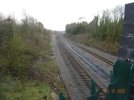 DSC02206.JPG