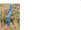 1670865419687.png