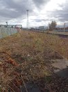 IMG_20230224_144251.jpg