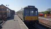 DSC08983.JPG