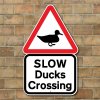 Duck sign.jpeg