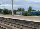 IMG_1920.jpeg