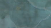 5134FFF8-1ED2-4F10-B173-553A7553B7EB.png