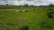 Water Meadow 1 reduced.jpg