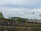 IMG_4266.jpeg