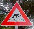 south-africa-drunk-crossing.jpg