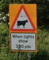 1684039865462.png