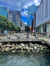 IMG_4100.jpeg