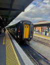IMG_4107.jpeg