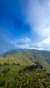 IMG_4325.jpeg