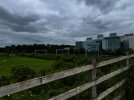 IMG_3970.jpeg