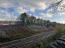 IMG_3651.jpeg