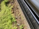 IMG_1996.jpeg