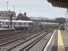IMG_0374.jpeg