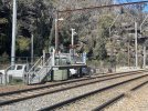 IMG_4535.jpeg