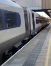 IMG_3419.jpeg