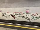 IMG_6253.jpeg