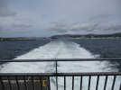 IMG_4580r.jpg