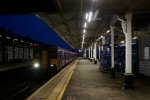 IMG_0001.jpeg