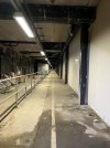 IMG_1928.jpeg