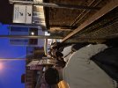 IMG_2656.jpeg