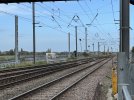 IMG_5297.jpeg