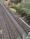 PXL_20231116_120551662.jpg