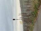 IMG_5760.jpeg