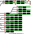 Screenshot from OTT showing Manchester Piccadilly, with many of the platforms having 4 berths for data to be written to.