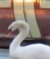 ACE4413E-74AB-4DF5-8BDD-EA95A02AC4B9.jpeg