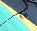 IMG_3877.jpeg
