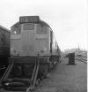 BJ-24119, 08571 and 24130. 47516 to right. Haymarket depot, 12th June 1976.jpg