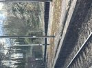IMG_3148.jpeg
