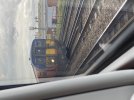 IMG_0880.jpeg