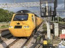 IMG_2683.jpeg