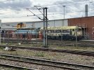IMG_4632.jpeg