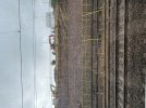 IMG_3302.jpeg