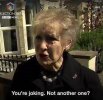 brenda from bristol.jpg