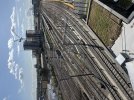 IMG_0248.jpeg
