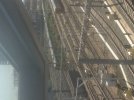 IMG_1055.jpeg