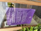 IMG_7564.jpeg