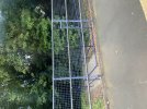 IMG_5443.jpeg