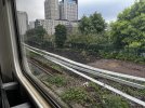 IMG_1700.jpeg